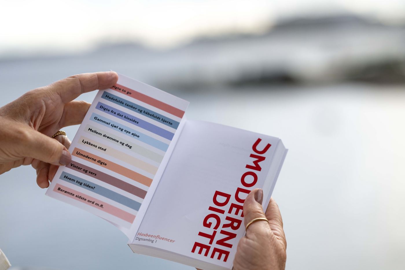 Bogen åbnet ved indholdsfortegnelsen med farvede faner